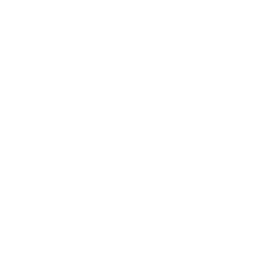 vp-logo
